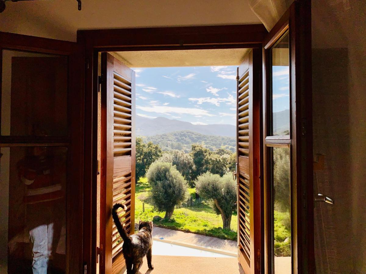 Domaine De Tappa - Casa Filicina Βίλα Sollacaro Εξωτερικό φωτογραφία