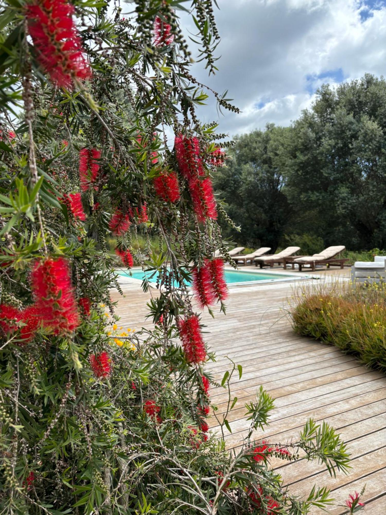 Domaine De Tappa - Casa Filicina Βίλα Sollacaro Εξωτερικό φωτογραφία