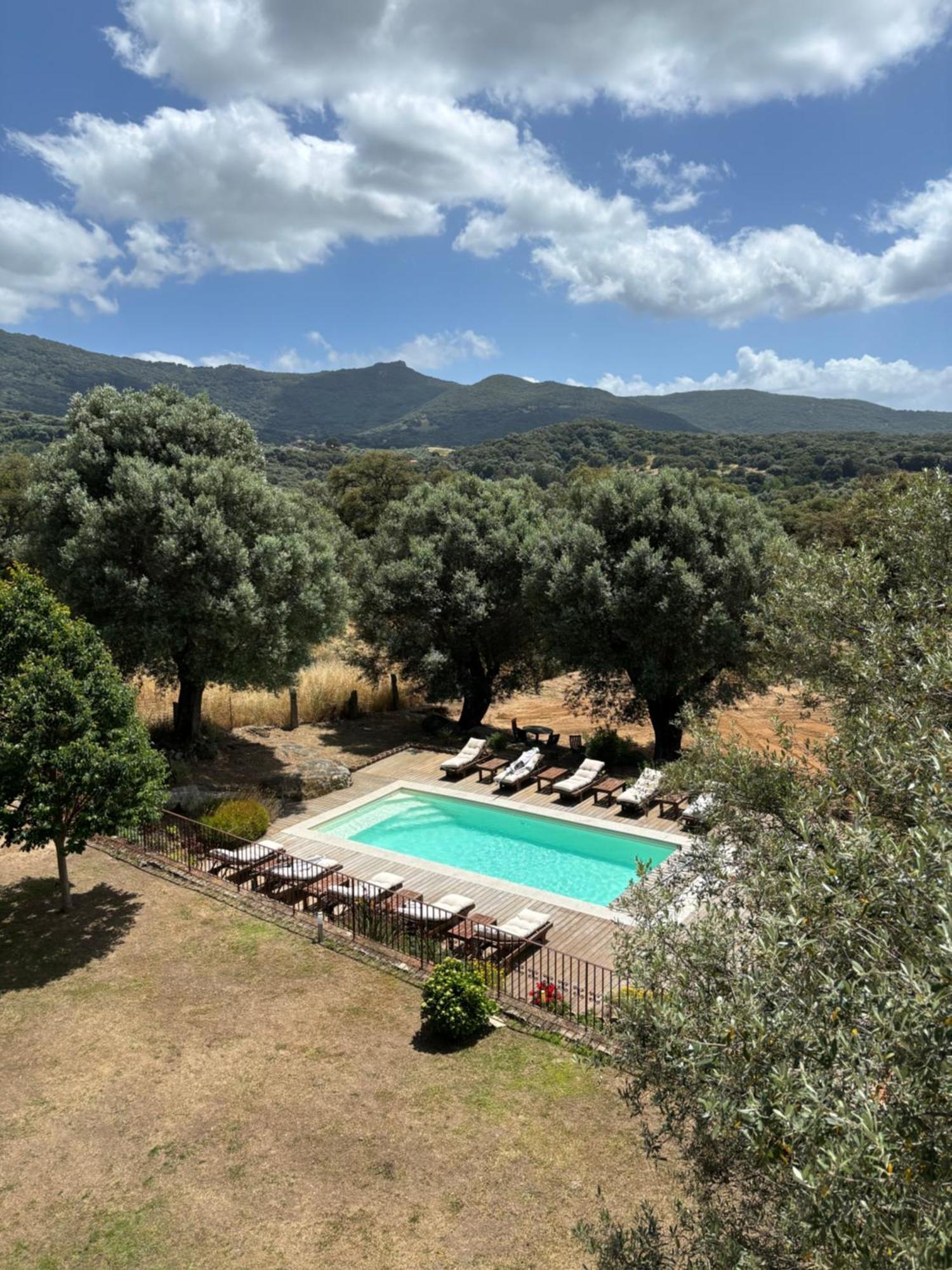 Domaine De Tappa - Casa Filicina Βίλα Sollacaro Εξωτερικό φωτογραφία