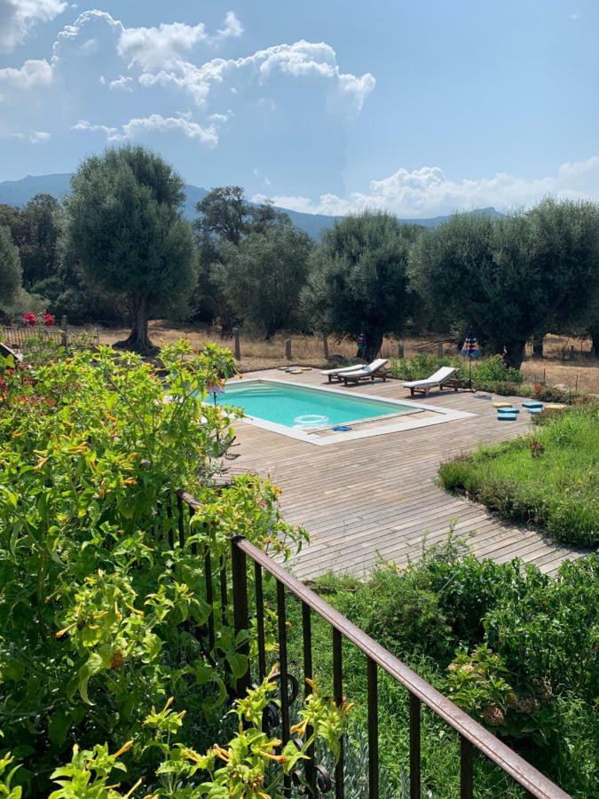Domaine De Tappa - Casa Filicina Βίλα Sollacaro Εξωτερικό φωτογραφία