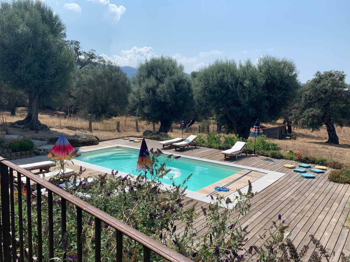 Domaine De Tappa - Casa Filicina Βίλα Sollacaro Εξωτερικό φωτογραφία